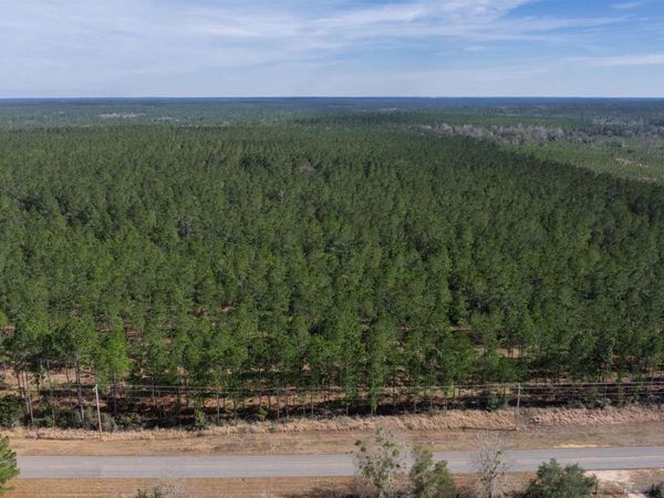 0 Cowpen Creek Road, Robertsdale, AL 36567