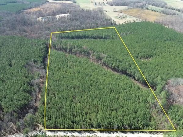 1 MAPLE BRIDGE RD , DILLWYN, VA 23936