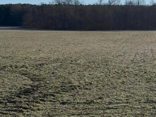 0 MOSBY RD, Oakland, TN 38060