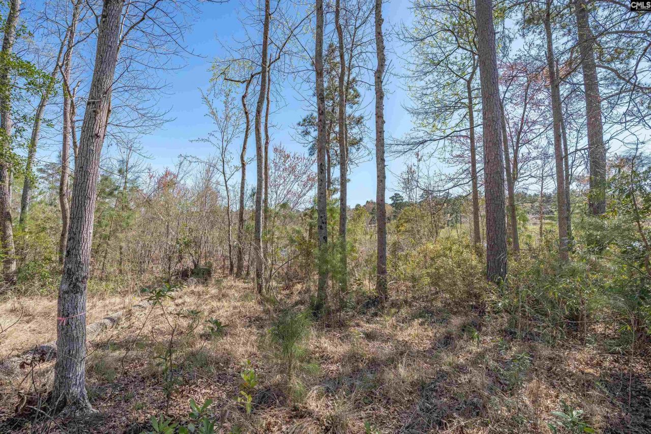 624 Beaver Park Drive  Photo 6