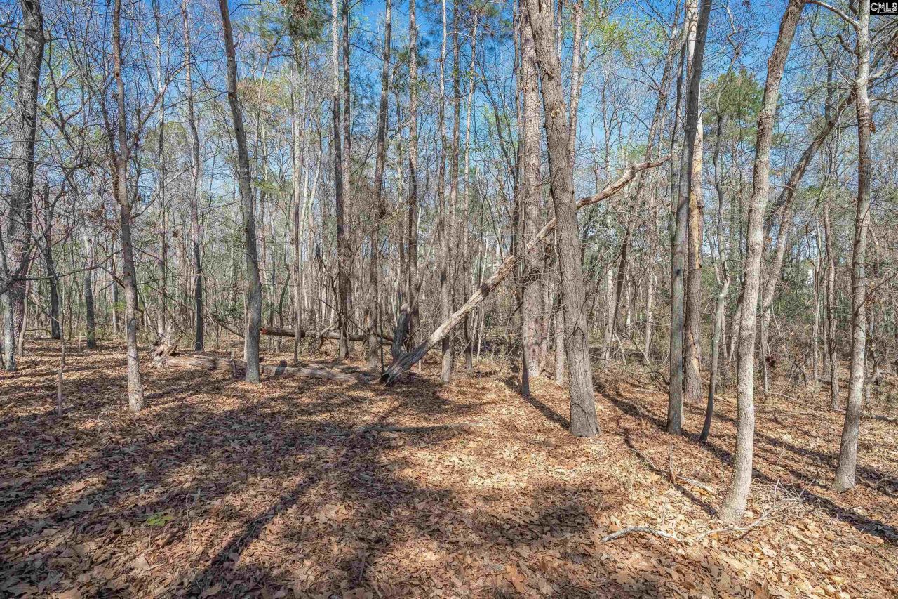 624 Beaver Park Drive  Photo 7