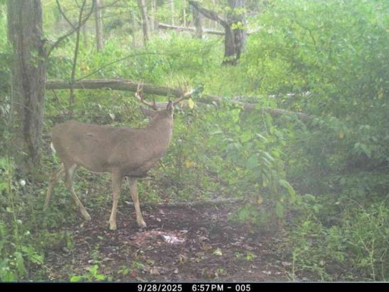 12167 Mantua Center Road, Mantua, OH 44255 Photo 15