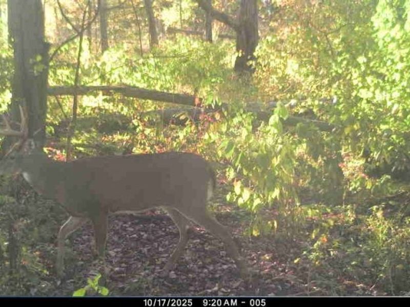 12167 Mantua Center Road, Mantua, OH 44255 Photo 17