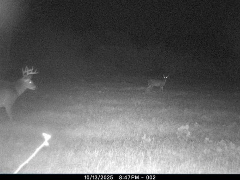 12167 Mantua Center Road, Mantua, OH 44255 Photo 19