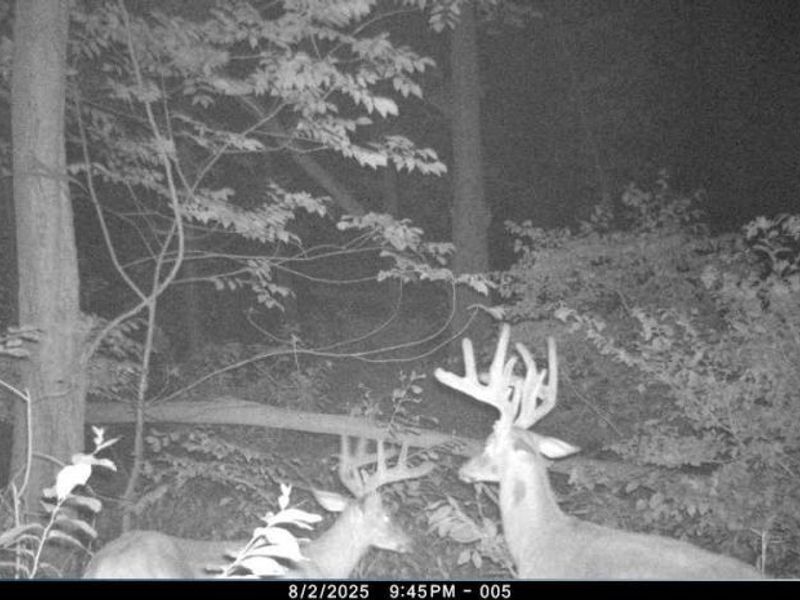 12167 Mantua Center Road, Mantua, OH 44255 Photo 21