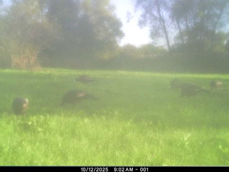 12167 Mantua Center Road, Mantua, OH 44255 Photo 22