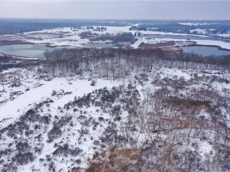 12167 Mantua Center Road, Mantua, OH 44255 Photo 8