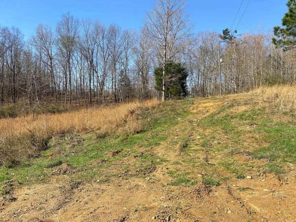 65 AMELIA BRIANN DR, Selmer, TN 38375