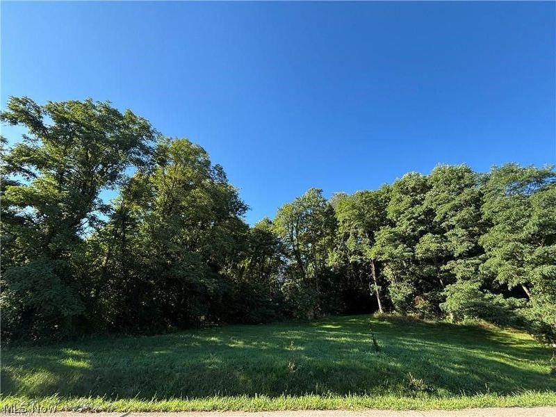 4872 Autumn Leaves Drive, Akron, OH 44333 Photo 4