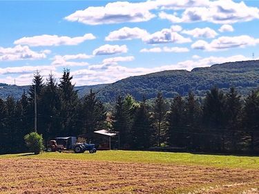 Rt-21 N, Wayland, NY 14572