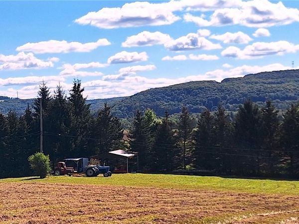 Rt-21 N, Wayland, NY 14572