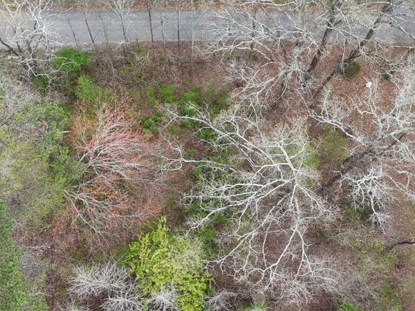 Lot 45 SE Calfee Lane, Cleveland, TN 37323