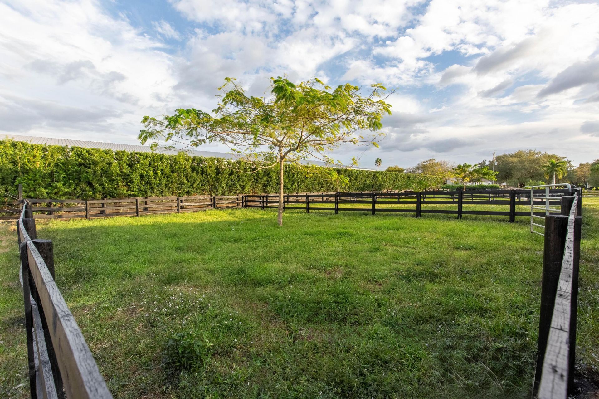 14367 Belmont Trace, Wellington, FL 33414 Photo