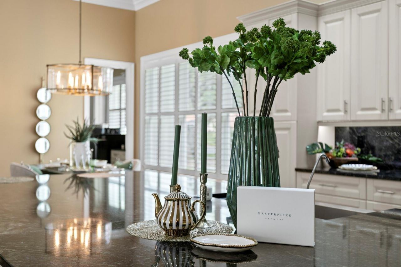 16504 Avila Boulevard, Tampa, FL 33613 Photo