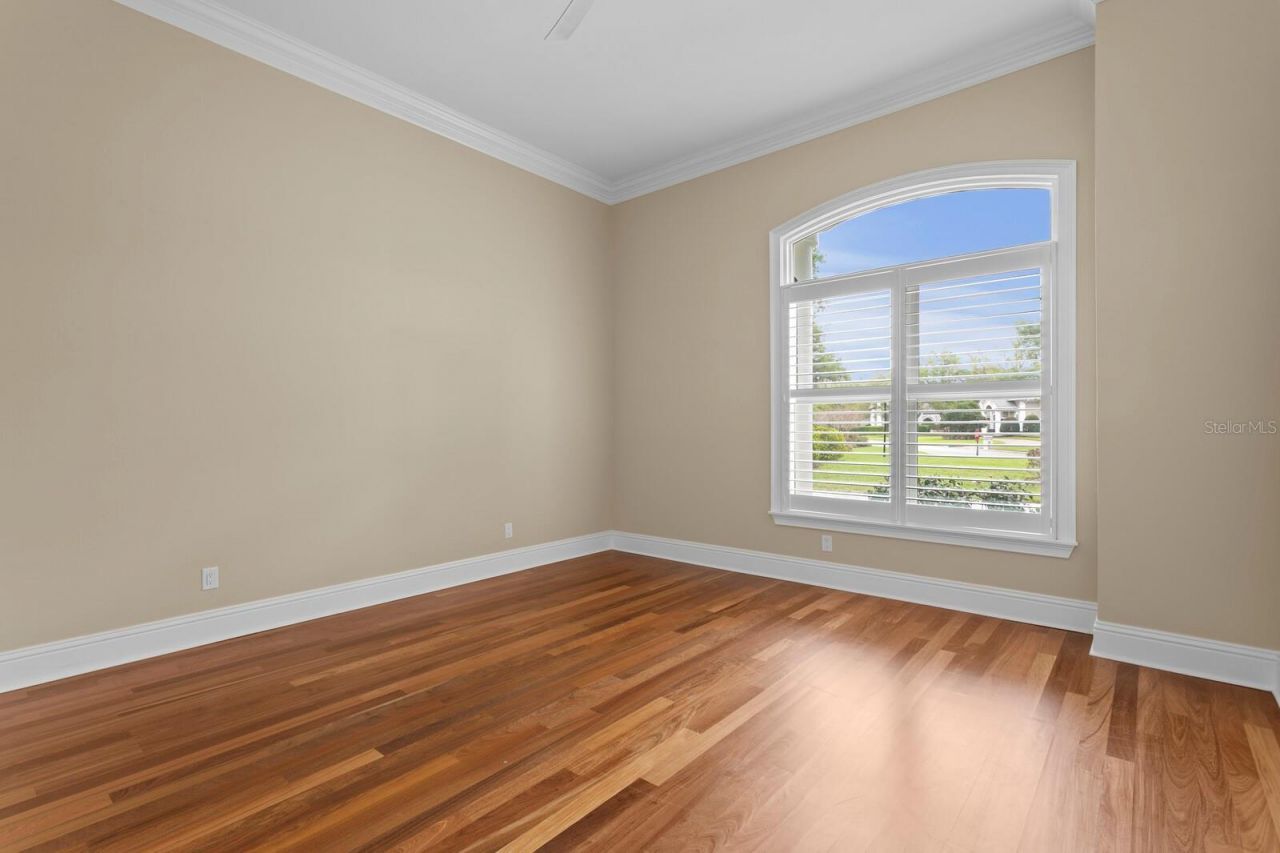 16504 Avila Boulevard, Tampa, FL 33613 Photo