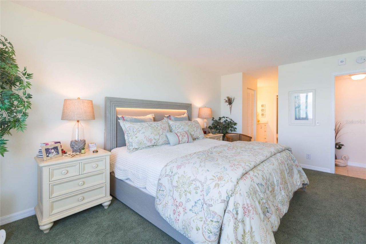 5541 Puerta Del Sol Boulevard S, Unit 318, Saint Petersburg, FL 33715 Photo