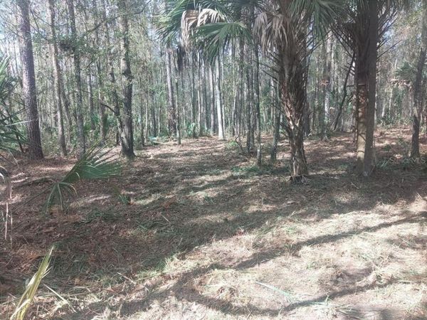 18954 COUNTY RD 329 , MICANOPY, FL 32667