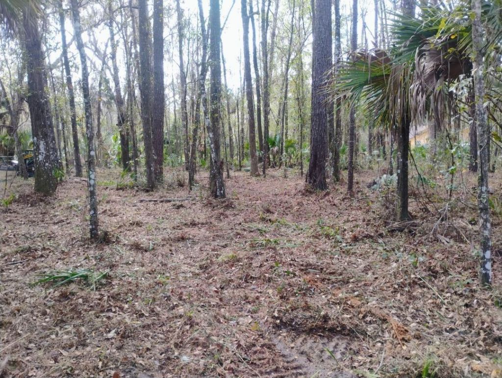 18954 County Rd 329, Micanopy, FL 32667 Photo