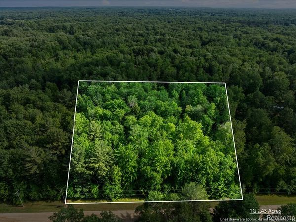 #0015 V/L Birch Lane, Vassar, MI 48768