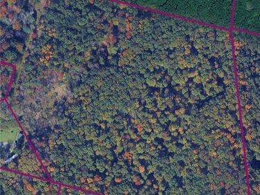 370 Ellis Creek Rd, Waverly, NY 14892