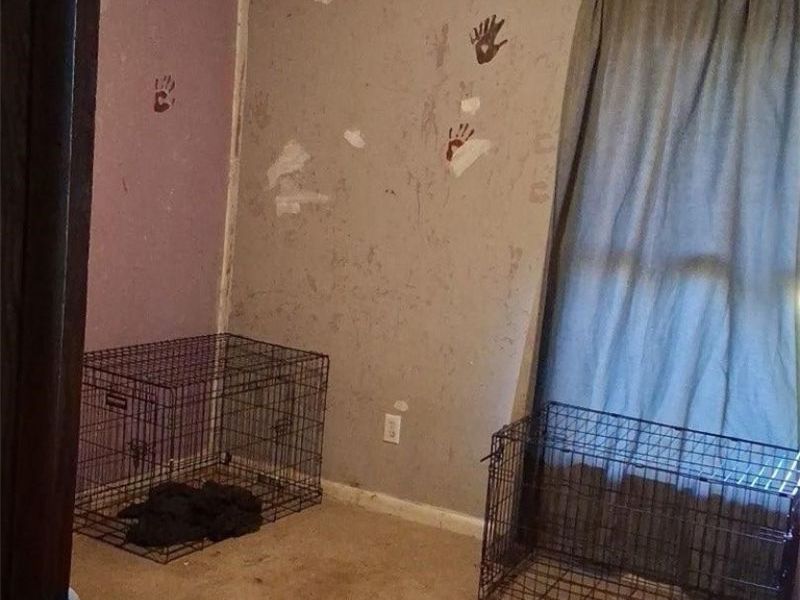 9918 Overton Road, Burbank, OH 44214 Photo 2