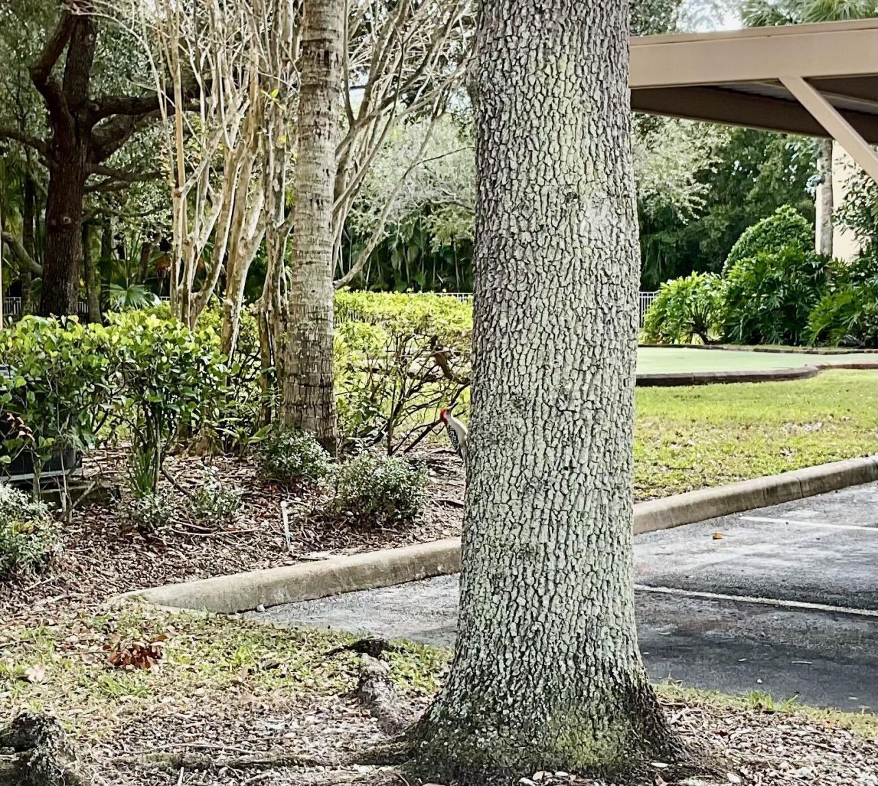 6492 Emerald Dunes Drive, Unit 106, West Palm Beach, FL 33411 Photo