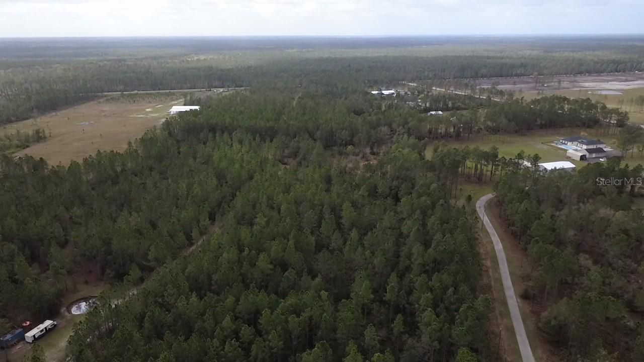 1 Wild Cur Road, Pierson, FL 32180 Photo