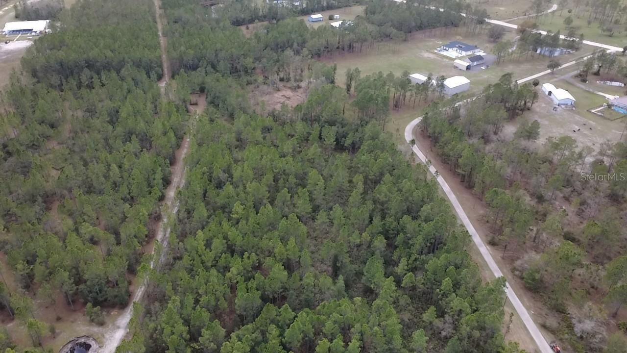 1 Wild Cur Road, Pierson, FL 32180 Photo