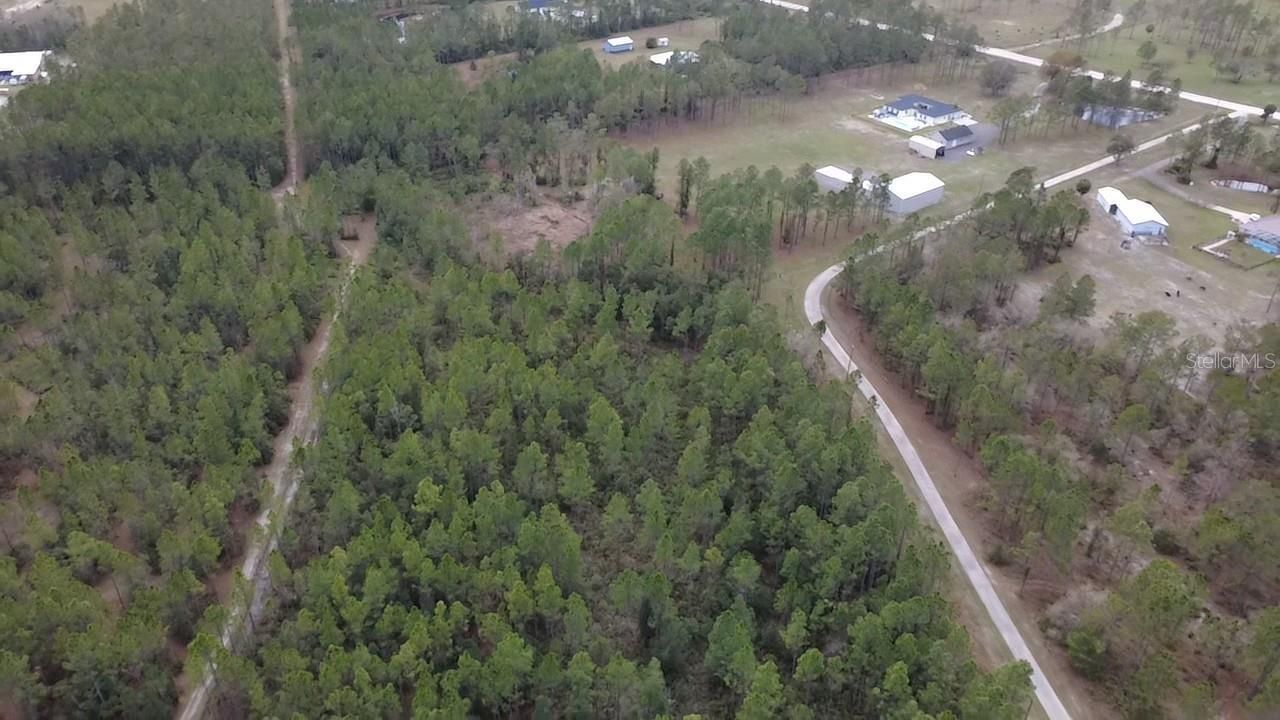 1 Wild Cur Road, Pierson, FL 32180 Photo