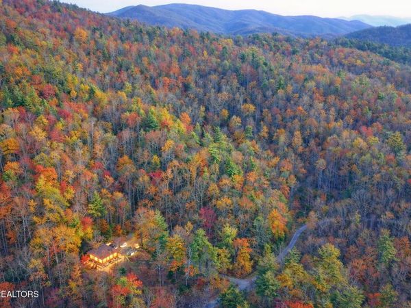 132 Sugar Maple Way, Del Rio, TN 37727