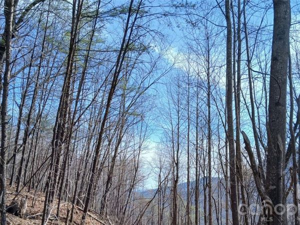 00 Piney Gate Road, White Oak, NC 28773