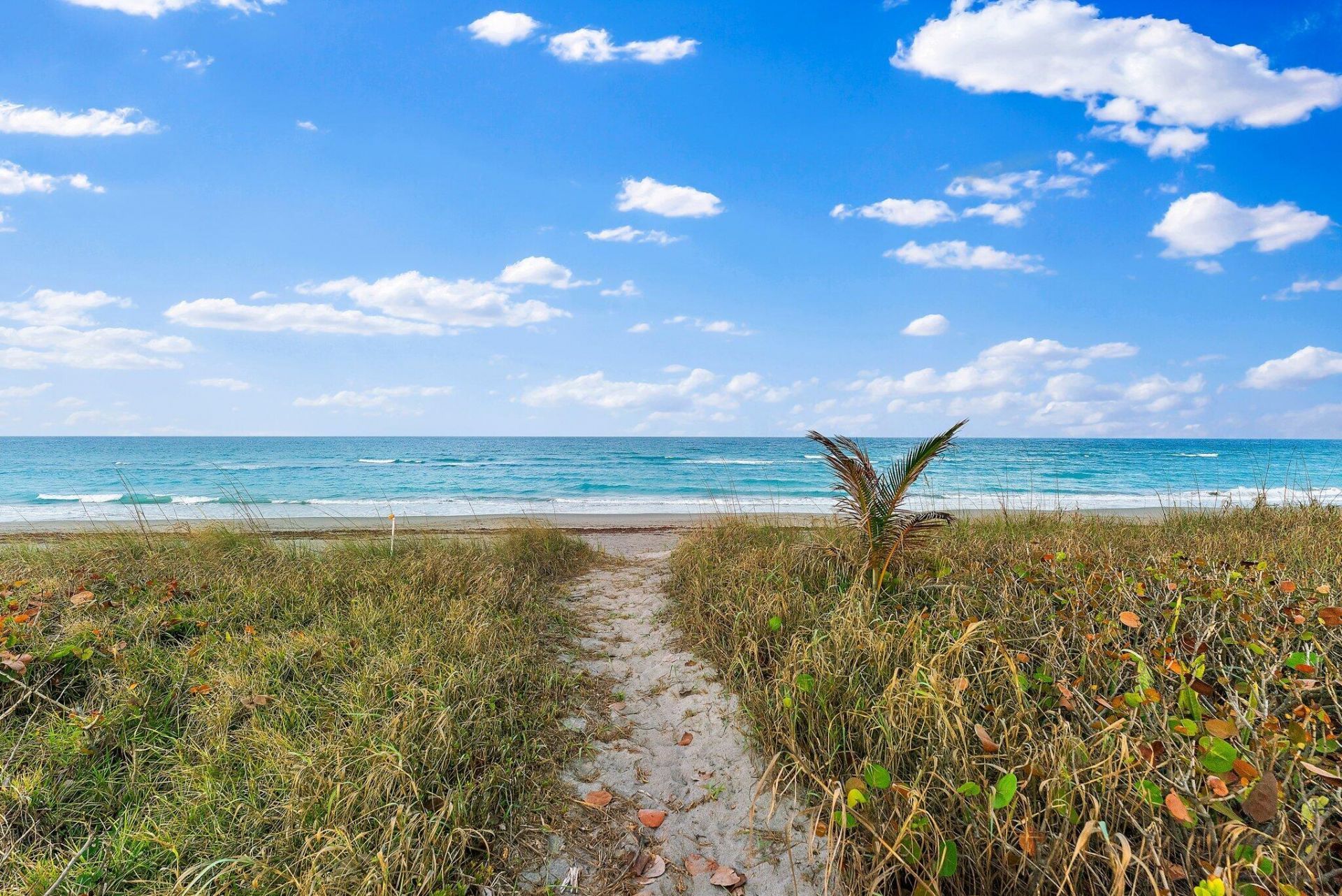 31 N Beach Road, Hobe Sound, FL 33455 Photo
