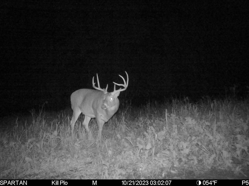 0 Stoneburner Road NW, Crooksville, OH 43731 Photo 12