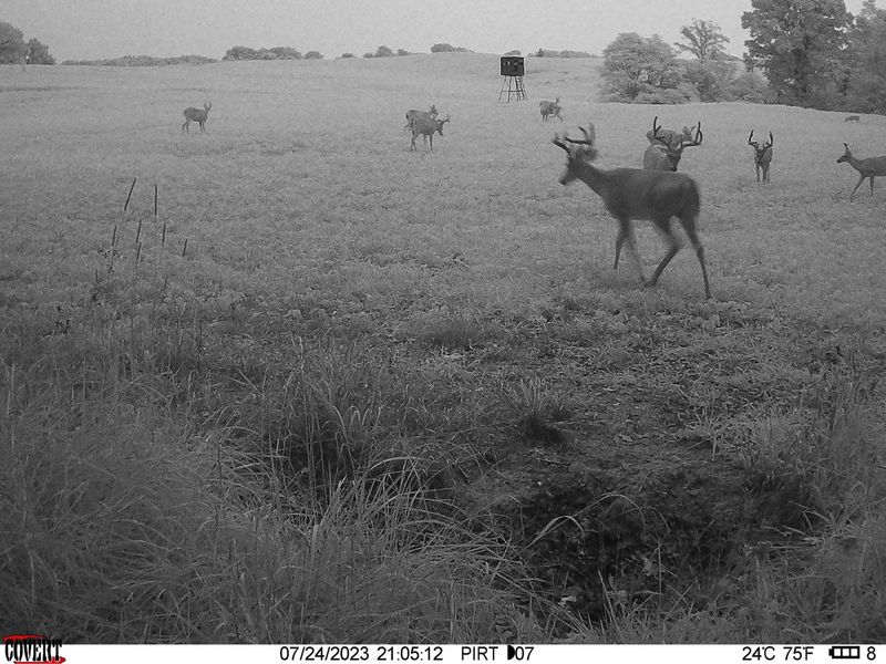 0 Stoneburner Road NW, Crooksville, OH 43731 Photo 13