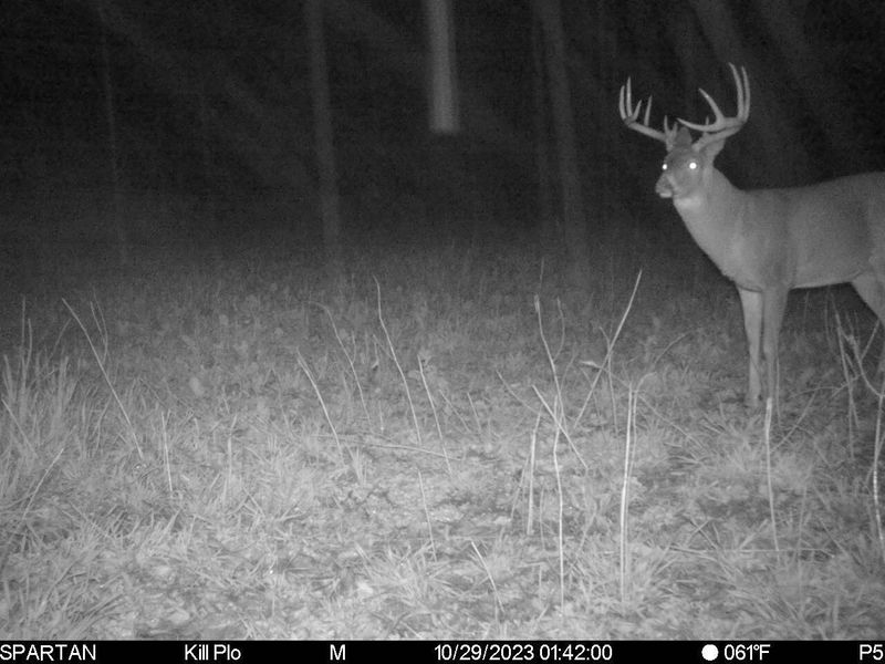 0 Stoneburner Road NW, Crooksville, OH 43731 Photo 14