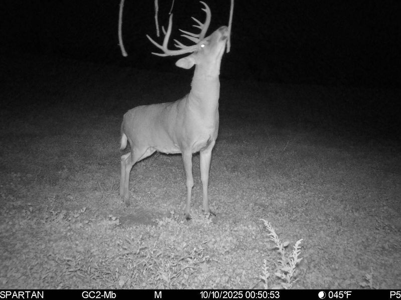 0 Stoneburner Road NW, Crooksville, OH 43731 Photo 15