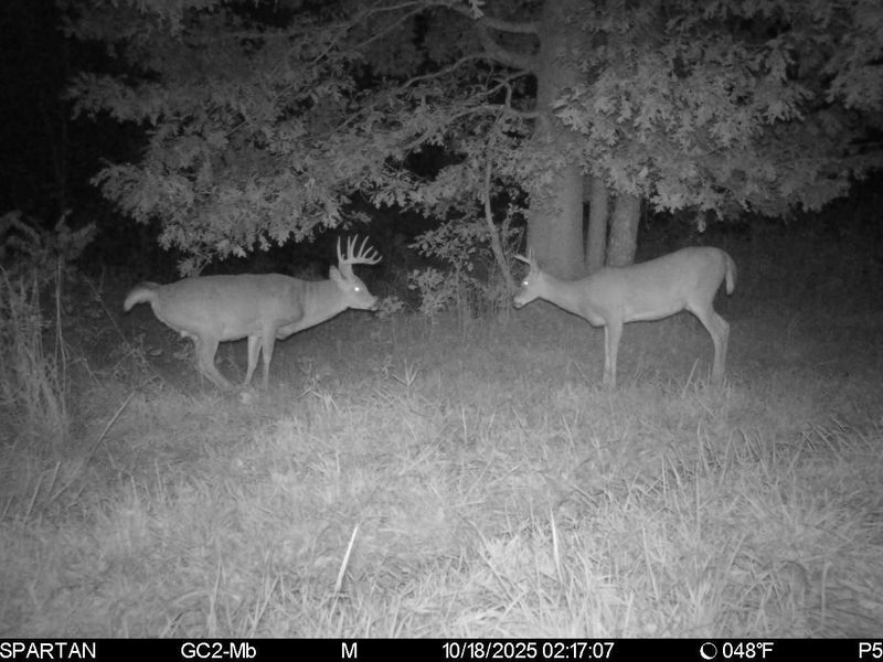 0 Stoneburner Road NW, Crooksville, OH 43731 Photo 16