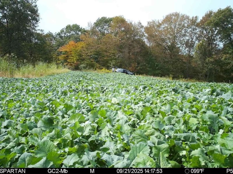 0 Stoneburner Road NW, Crooksville, OH 43731 Photo 17