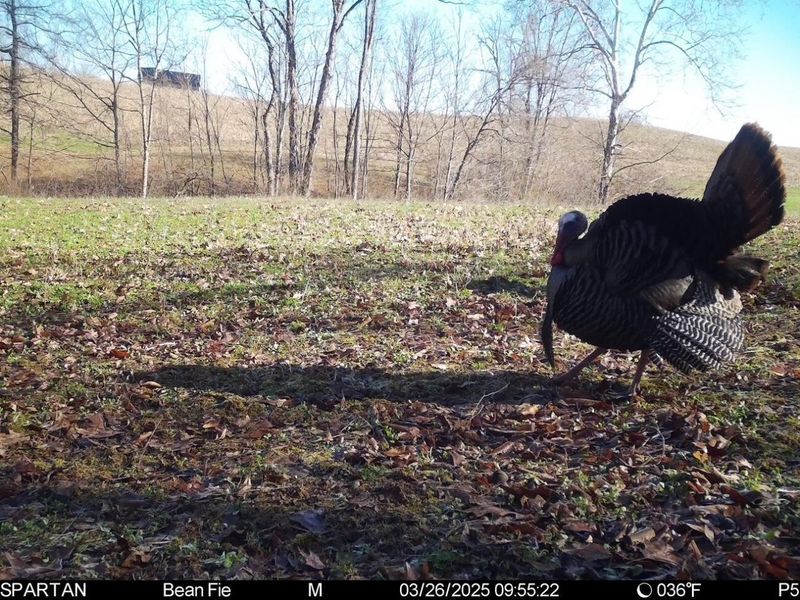 0 Stoneburner Road NW, Crooksville, OH 43731 Photo 18