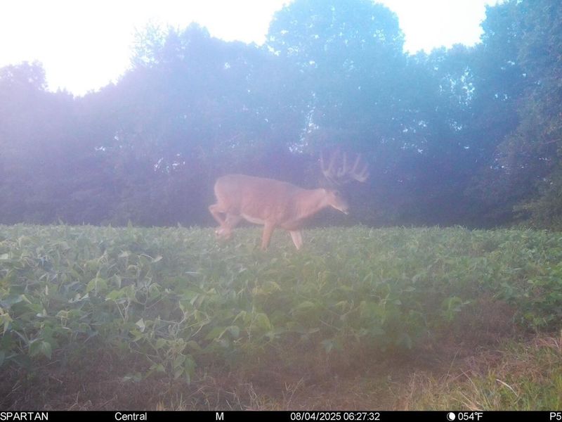 0 Stoneburner Road NW, Crooksville, OH 43731 Photo 19