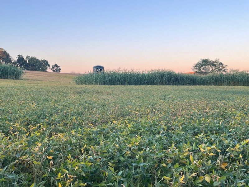 0 Stoneburner Road NW, Crooksville, OH 43731 Photo 2