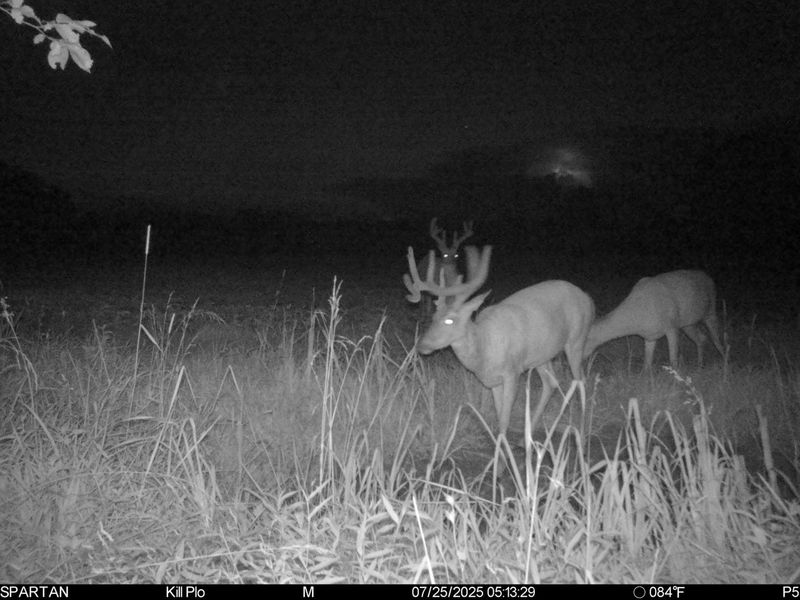 0 Stoneburner Road NW, Crooksville, OH 43731 Photo 20