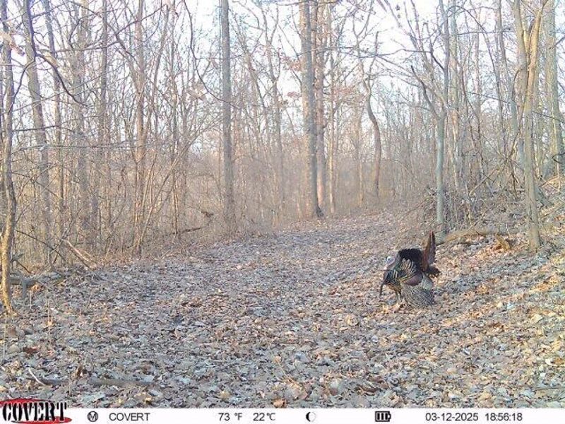 0 Stoneburner Road NW, Crooksville, OH 43731 Photo 21