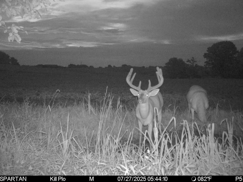 0 Stoneburner Road NW, Crooksville, OH 43731 Photo 22