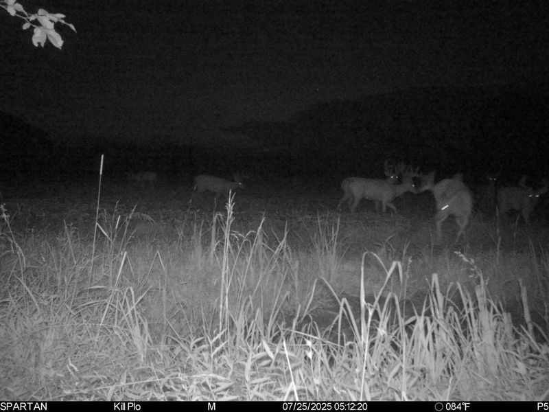 0 Stoneburner Road NW, Crooksville, OH 43731 Photo 23