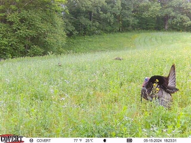 0 Stoneburner Road NW, Crooksville, OH 43731 Photo 24