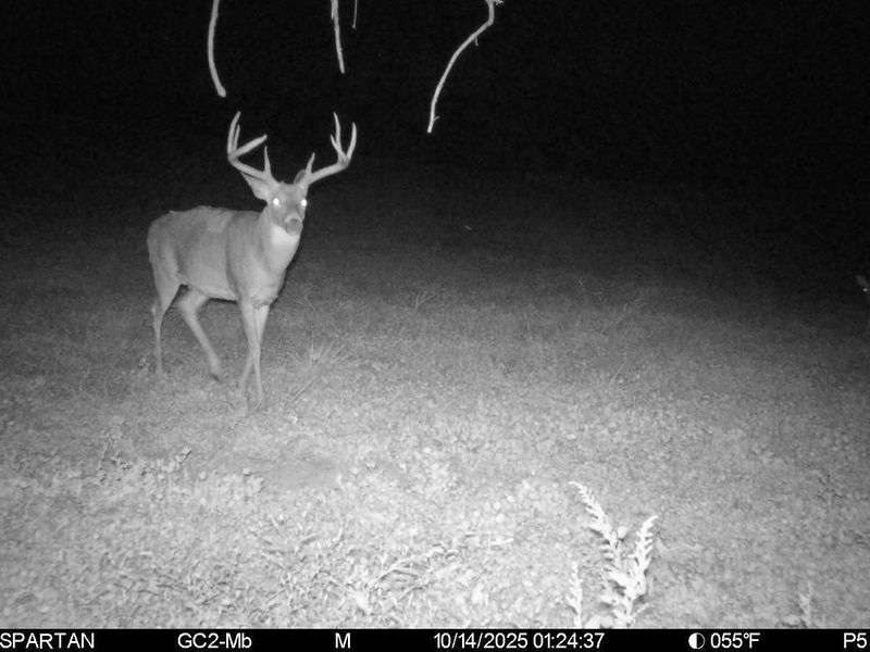 0 Stoneburner Road NW, Crooksville, OH 43731 Photo 25