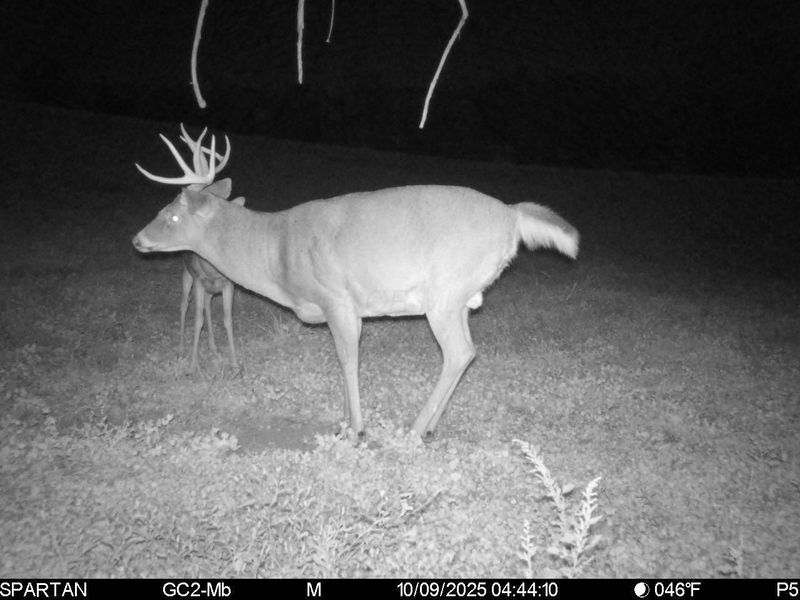 0 Stoneburner Road NW, Crooksville, OH 43731 Photo 26