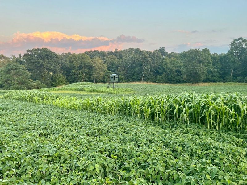 0 Stoneburner Road NW, Crooksville, OH 43731 Photo 3