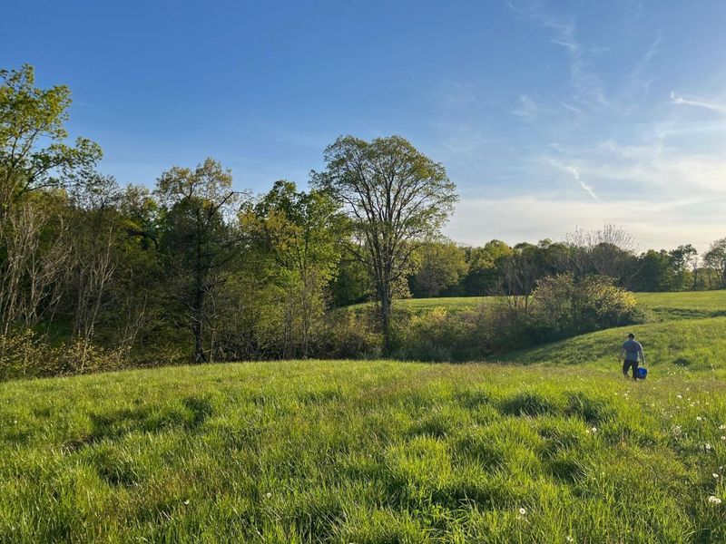 0 Stoneburner Road NW, Crooksville, OH 43731 Photo 5